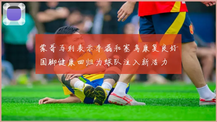 蒙哥马利表示李磊和塞鸟康复良好国脚健康回归为球队注入新活力