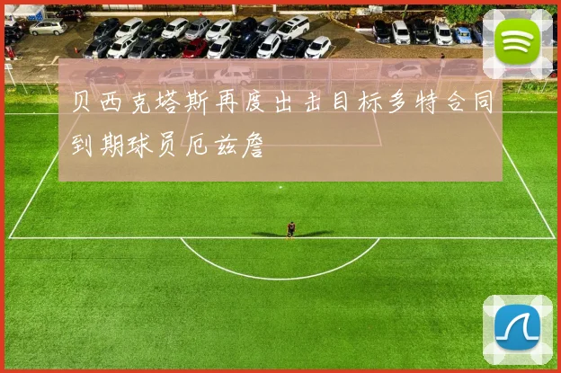 贝西克塔斯再度出击目标多特合同到期球员厄兹詹