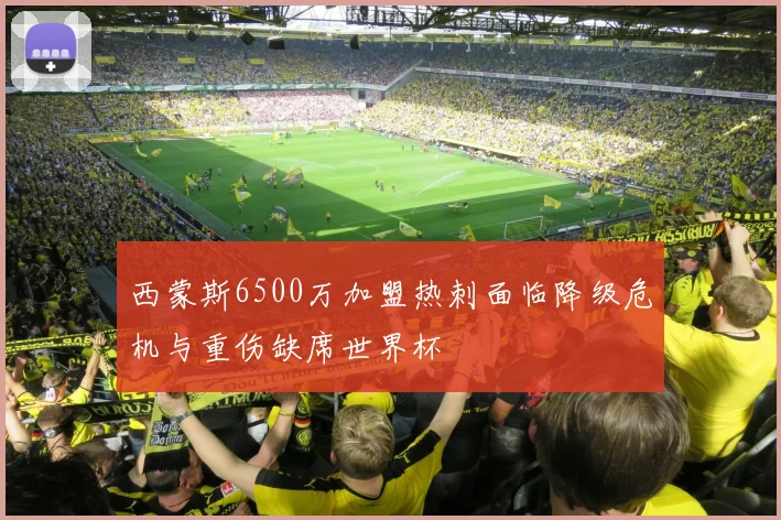 西蒙斯6500万加盟热刺面临降级危机与重伤缺席世界杯